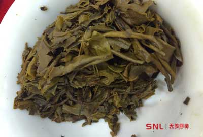 普洱茶怎么泡？大樹(shù)普洱茶沖泡方法