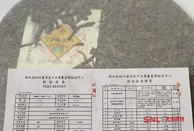 怎么辨別大樹茶普洱茶生茶？拆解茶商黑話茶香篇