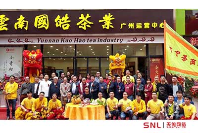 值得收藏的普洱茶