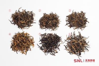 真正英紅九號什么樣？怎么辨別好壞？懷疑你的眼睛......