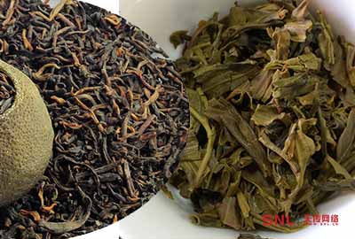 普洱茶是紅茶嗎？紅茶哪有這么好玩??！