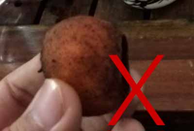 切忌，這類人喝小青柑一定需要多注意