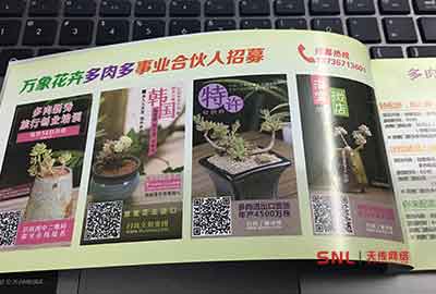 實(shí)體怎么與互聯(lián)網(wǎng)融合？解讀多肉招商加盟網(wǎng)站建設(shè)方案