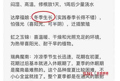 達摩福娘多肉植物生冬型種還是春型種？互聯(lián)網(wǎng)信息泛濫網(wǎng)絡推廣的底線在哪？