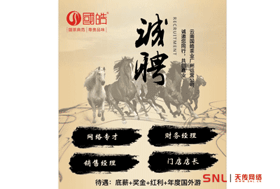 網(wǎng)絡推廣員