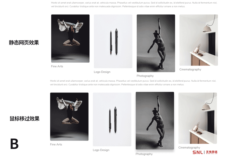 網(wǎng)站制作應(yīng)該選什么方案