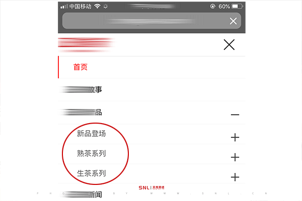 品牌官網(wǎng)怎么還需要專業(yè)網(wǎng)站制作團(tuán)隊(duì)？普洱茶品牌官方網(wǎng)站實(shí)例