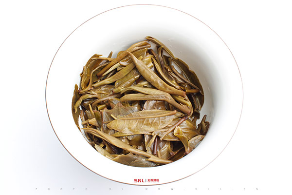 廣州實體店2019年普洱茶春茶電商怎么做