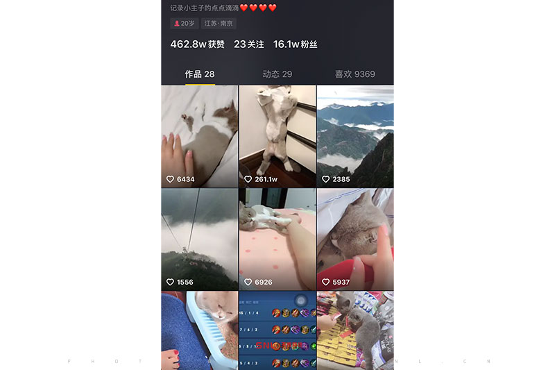 免費(fèi)網(wǎng)絡(luò)推廣渠道對(duì)比：抖音VS百度