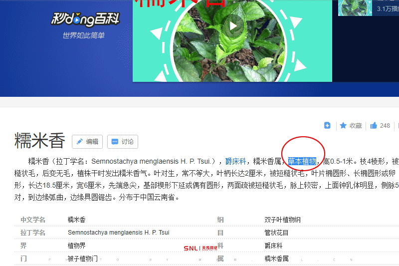 學(xué)網(wǎng)絡(luò)營銷好找工作嗎?