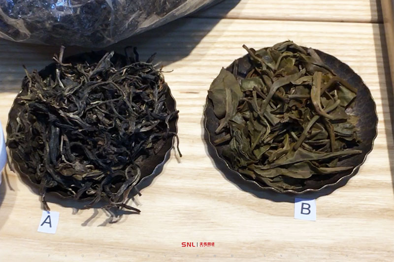 雨林古茶坊這個普洱茶茶氣不夠，為何網(wǎng)購還買不到？電商運營公司告訴你實情！