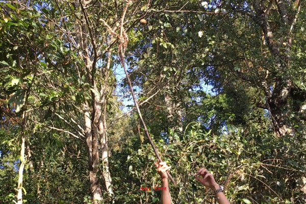 西雙版納好玩嗎