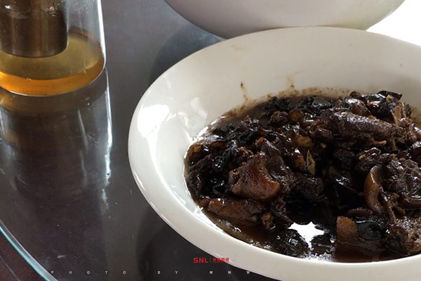 土雞沱網站設計