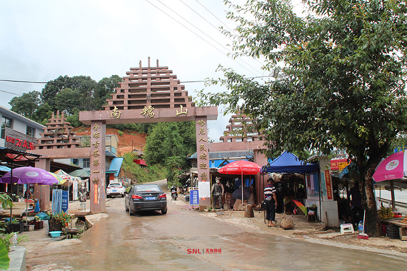 南糯山茶葉騙局？