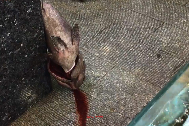 漁民新村天河店