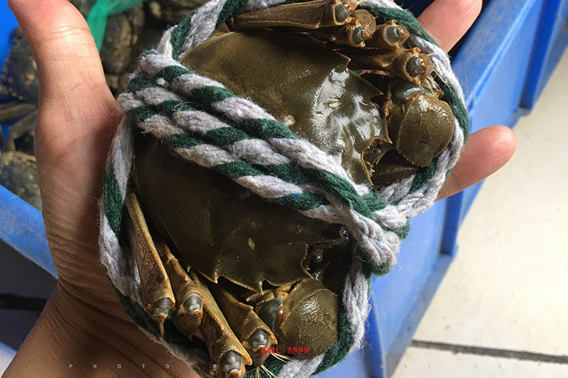 什么推廣網(wǎng)站好？不是渠道也不是方法