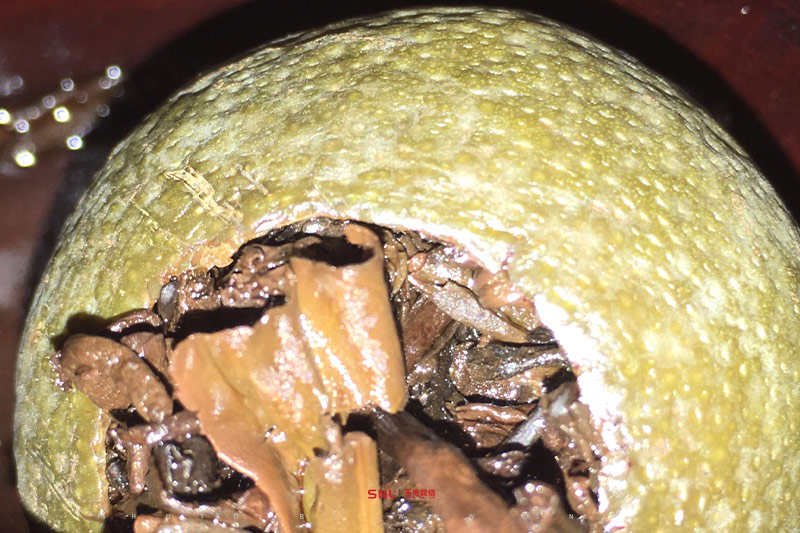 放了2年的小青柑能喝嗎？