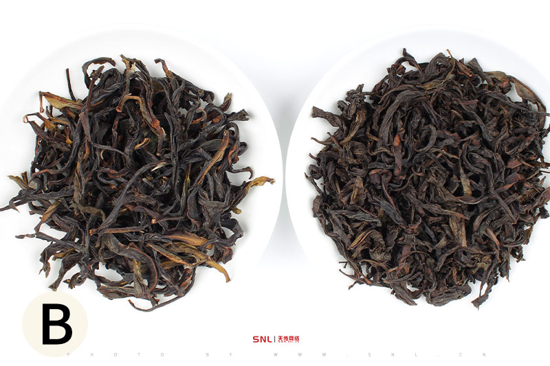 單從屬于什么茶,鳳凰單叢武夷水仙對比圖