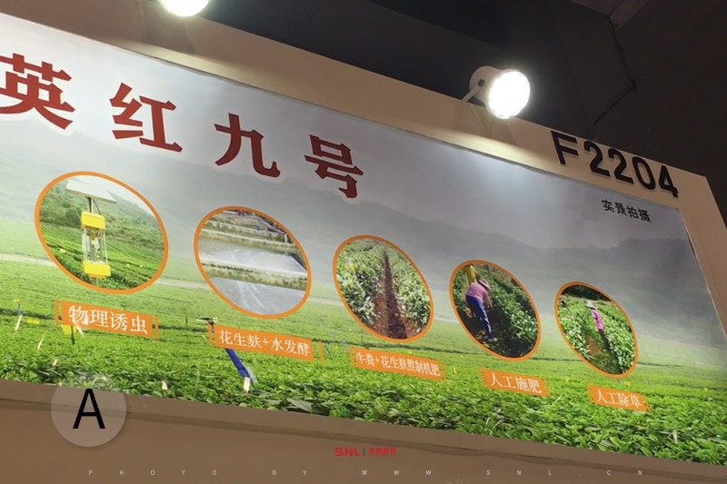 推薦賣(mài)英紅九號(hào)紅茶的淘寶店