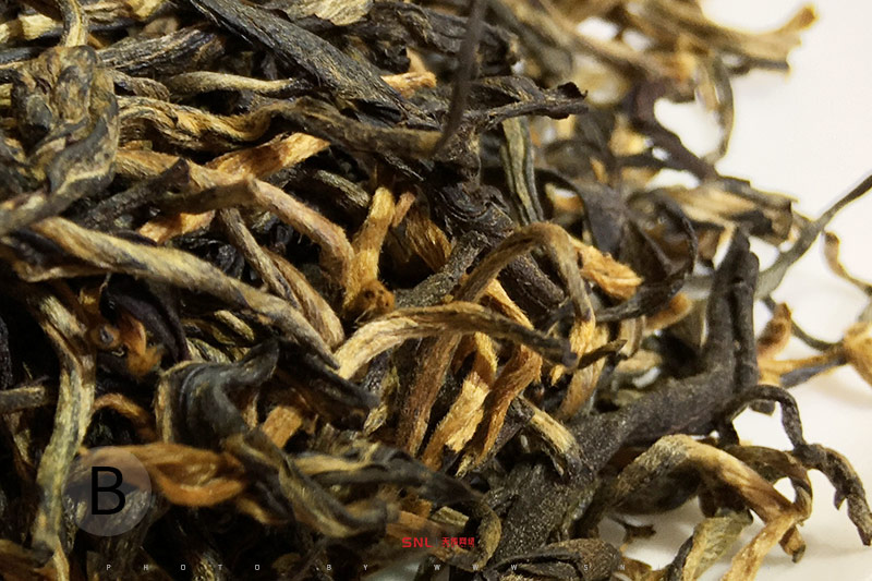 英紅九號(hào) 推薦