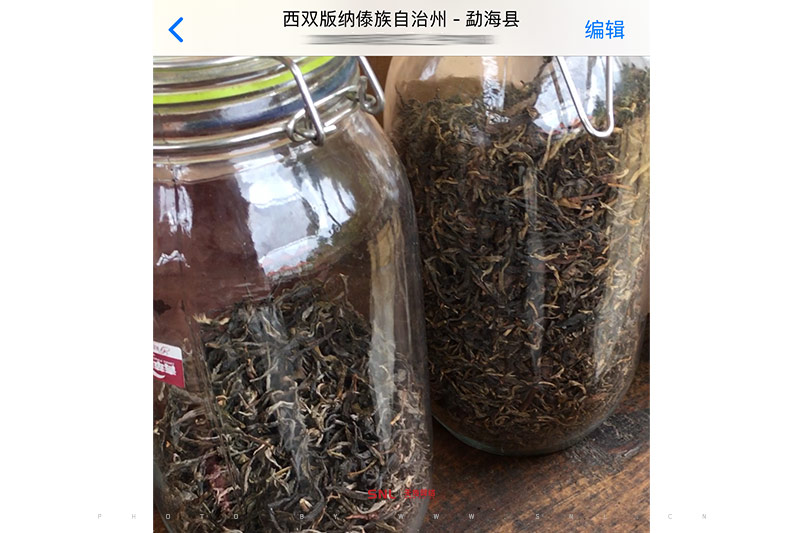 滇紅茶怎么泡
