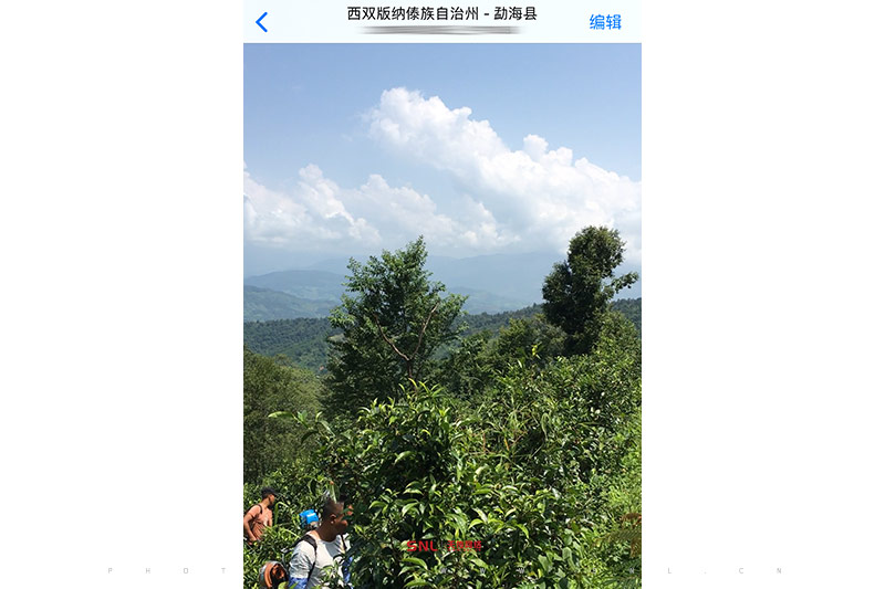 滇紅茶怎么泡？相信網(wǎng)絡(luò)推廣公司別被賣茶的忽悠了！