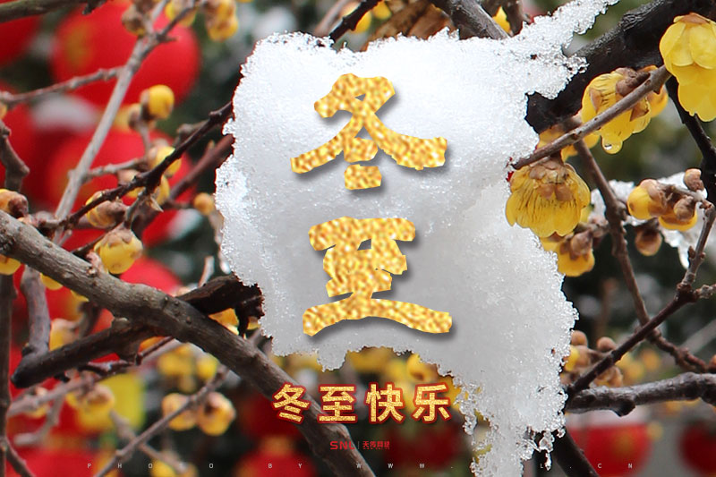 2020年冬至快樂！
