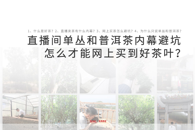 怎么才能在網(wǎng)上買到好的茶葉？電商運營告訴你直播間單叢和普洱茶內(nèi)幕避坑