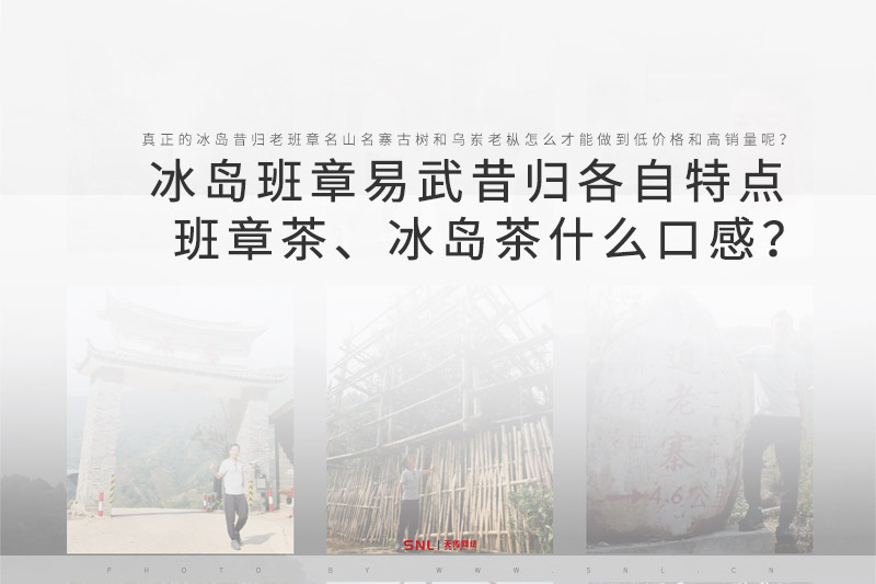 網(wǎng)上買(mǎi)單叢