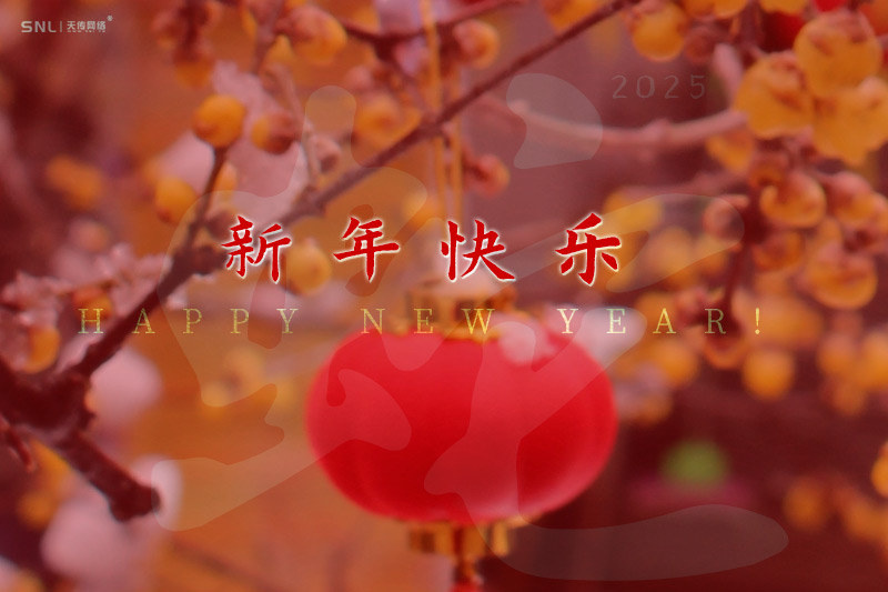 廣州天傳網(wǎng)絡(luò)公司祝大家2025年春節(jié)快樂，巳巳如意！