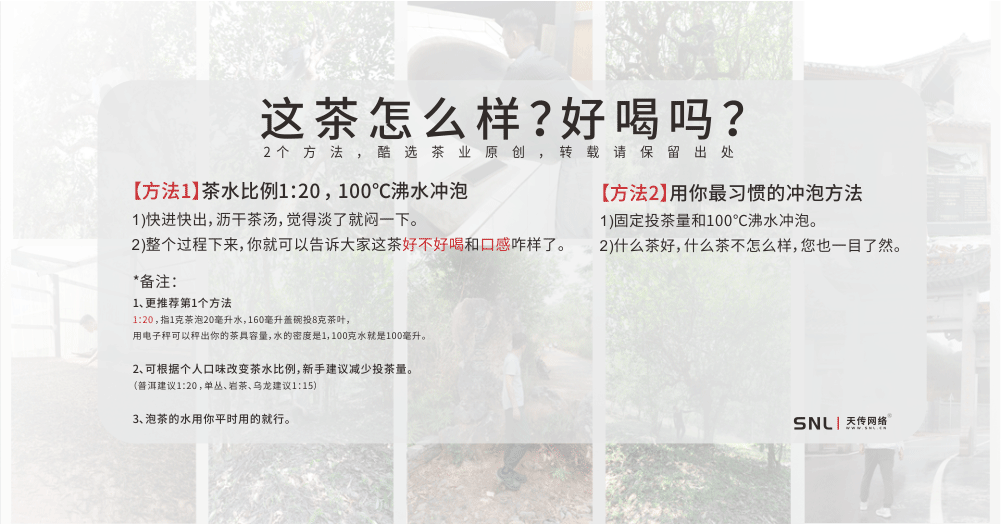 怎么鑒定古樹(shù)普洱茶餅價(jià)格