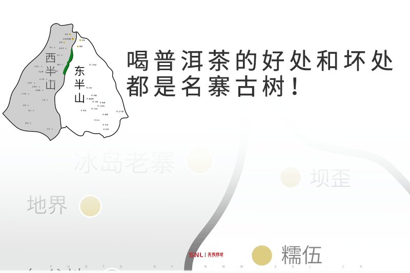 喝普洱茶的好處和壞處都是名寨古樹！