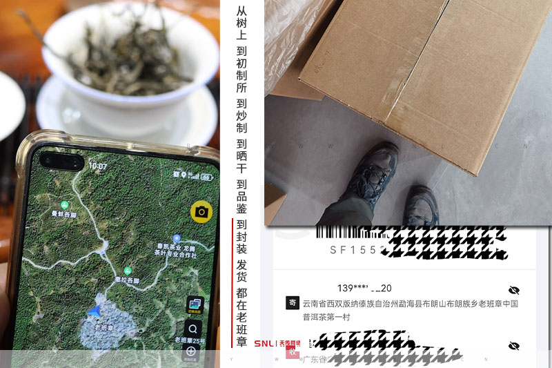 老班章的口感 老班章口感