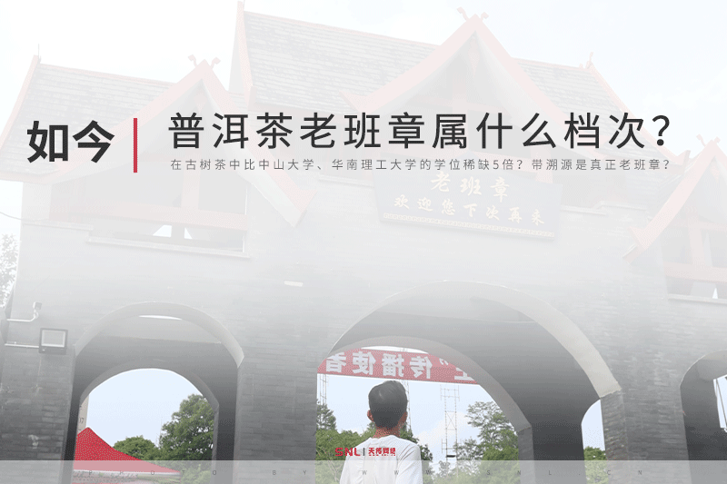 普洱茶的老班章屬于什么檔次？帶溯源二維碼的老班章是不是真正老班章？