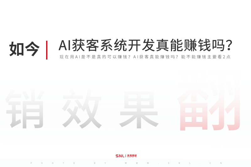 AI獲客軟件系統(tǒng)開(kāi)發(fā)真能賺錢(qián)嗎？