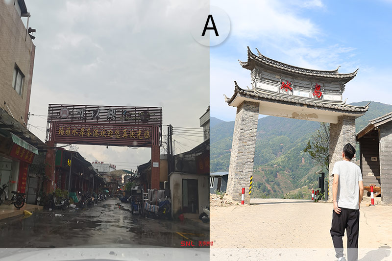 冰島茶多少錢一斤