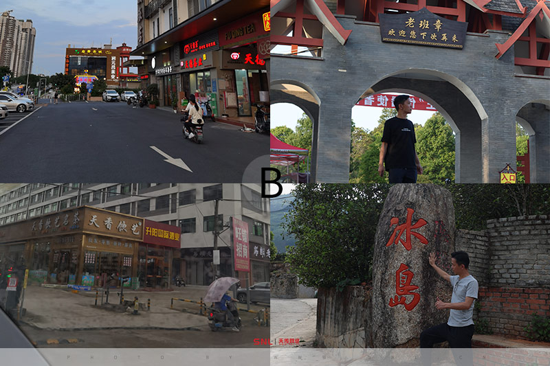 古樹茶多少錢一斤