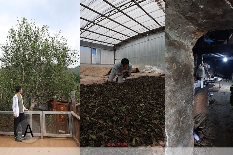 昔歸和冰島的區(qū)別