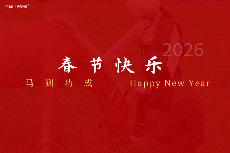 廣州網(wǎng)絡(luò)公司天傳網(wǎng)絡(luò)祝大家2026年春節(jié)快樂，馬到功成！