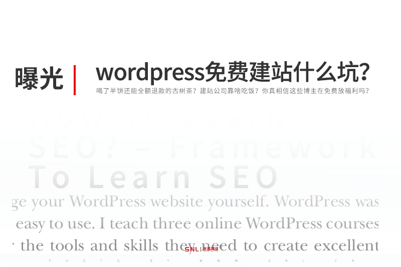 網(wǎng)站建設(shè)公司怎么賺錢(qián)：wordpress永久免費(fèi)網(wǎng)站建設(shè)是什么？
