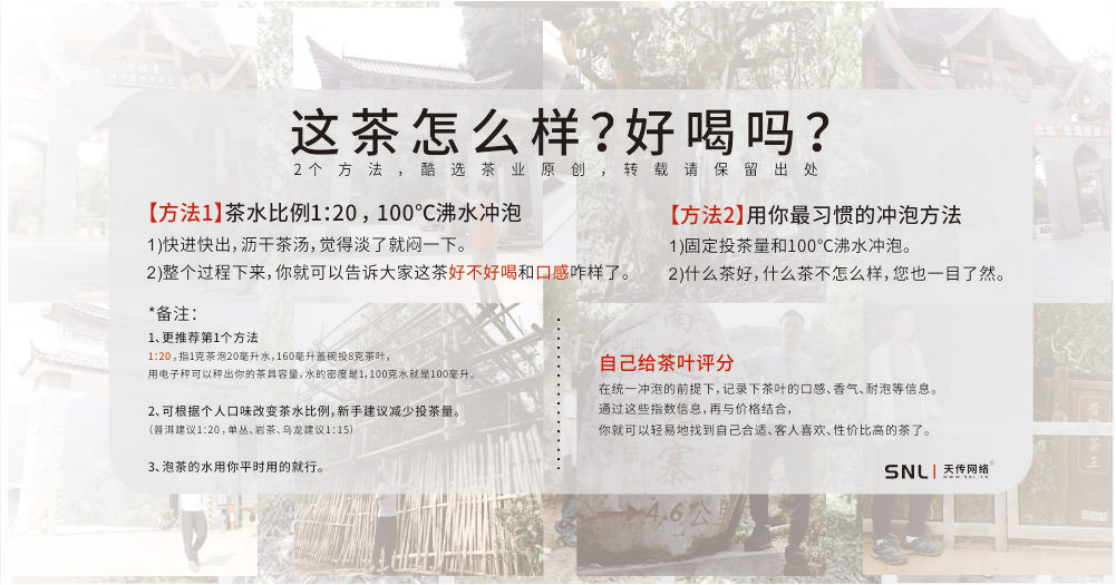 茶葉怎么辨別真假