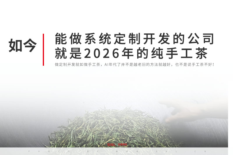 定制開發網站